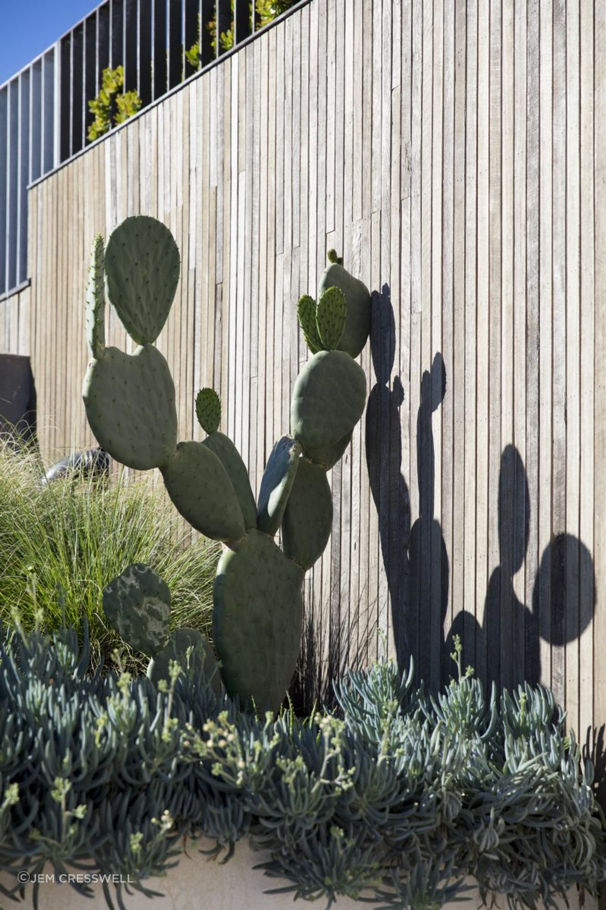 Beachside Garden