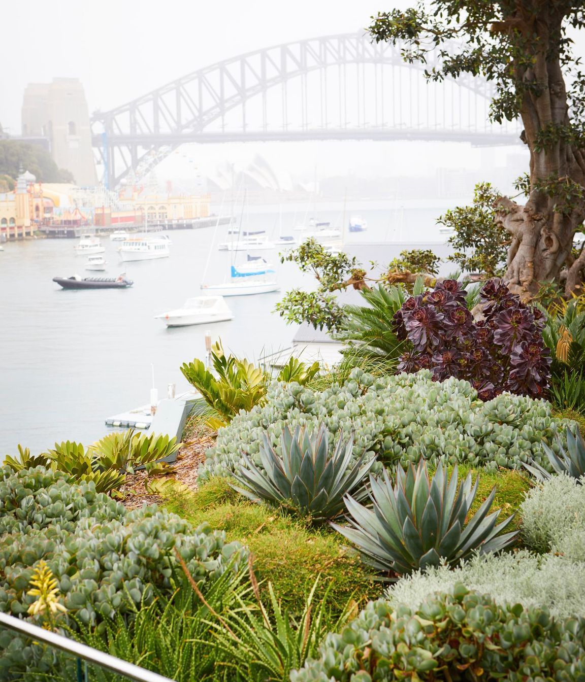 Lavender Bay