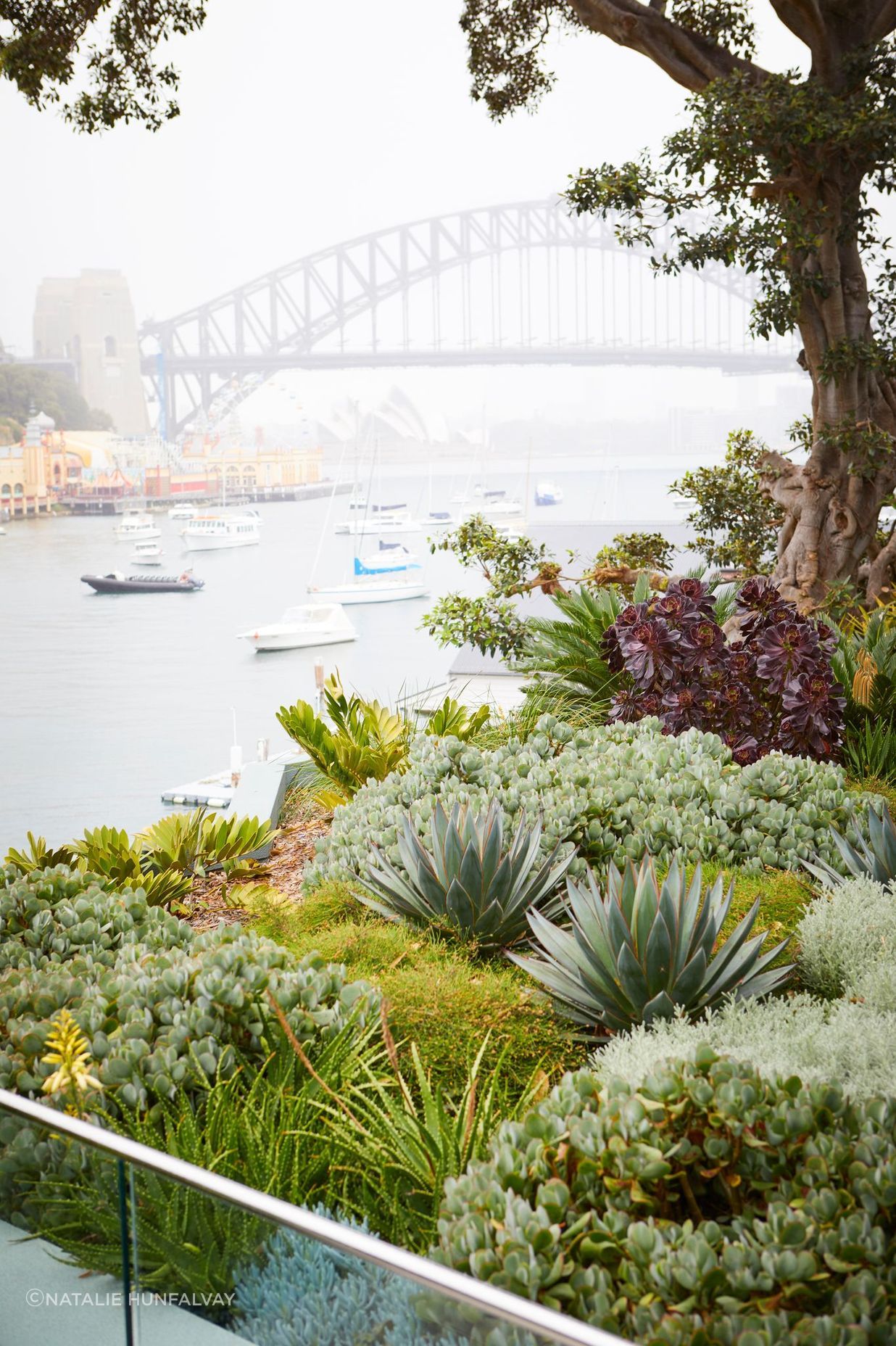 Lavender Bay