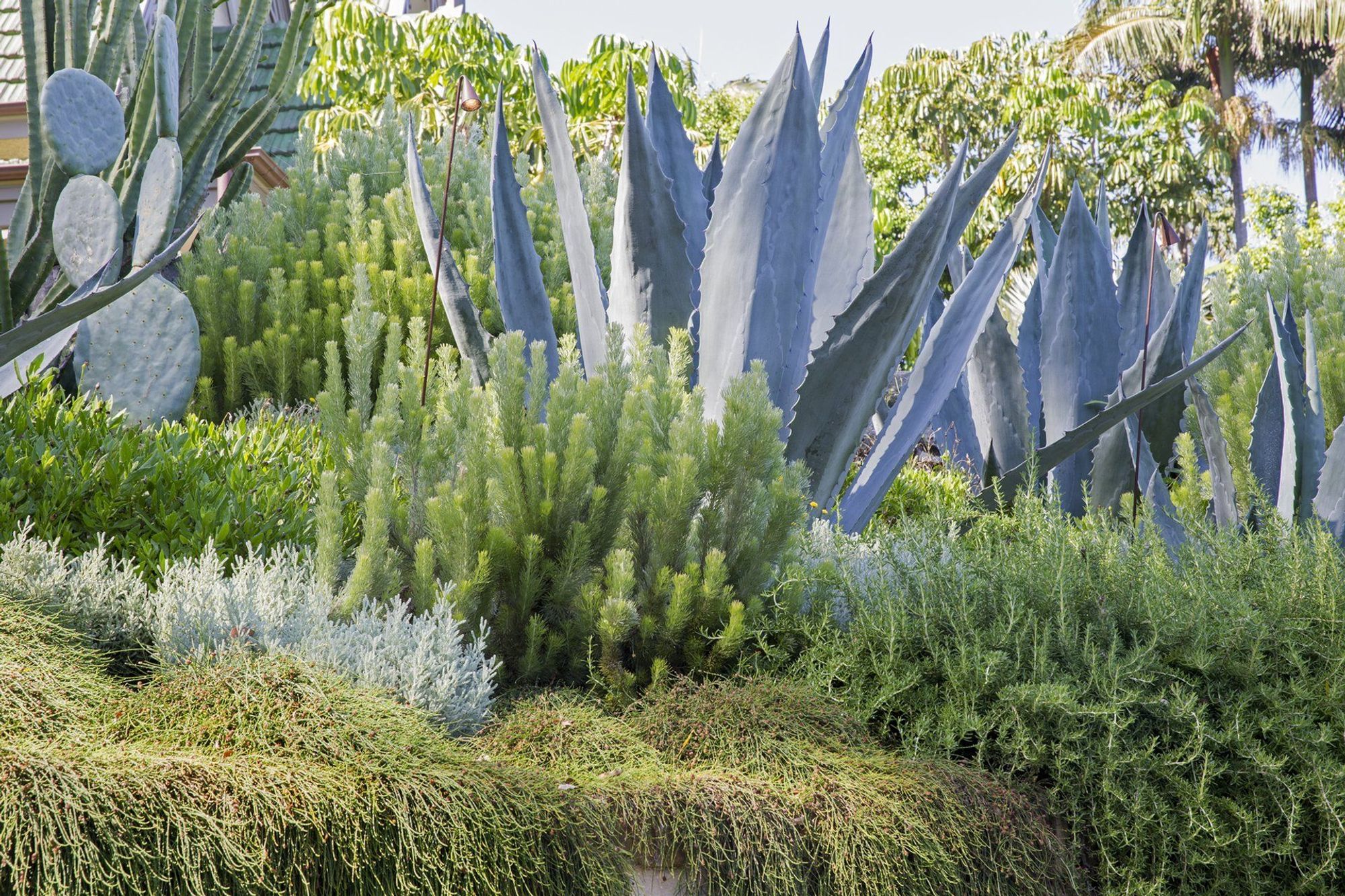 An Entertainer's Garden