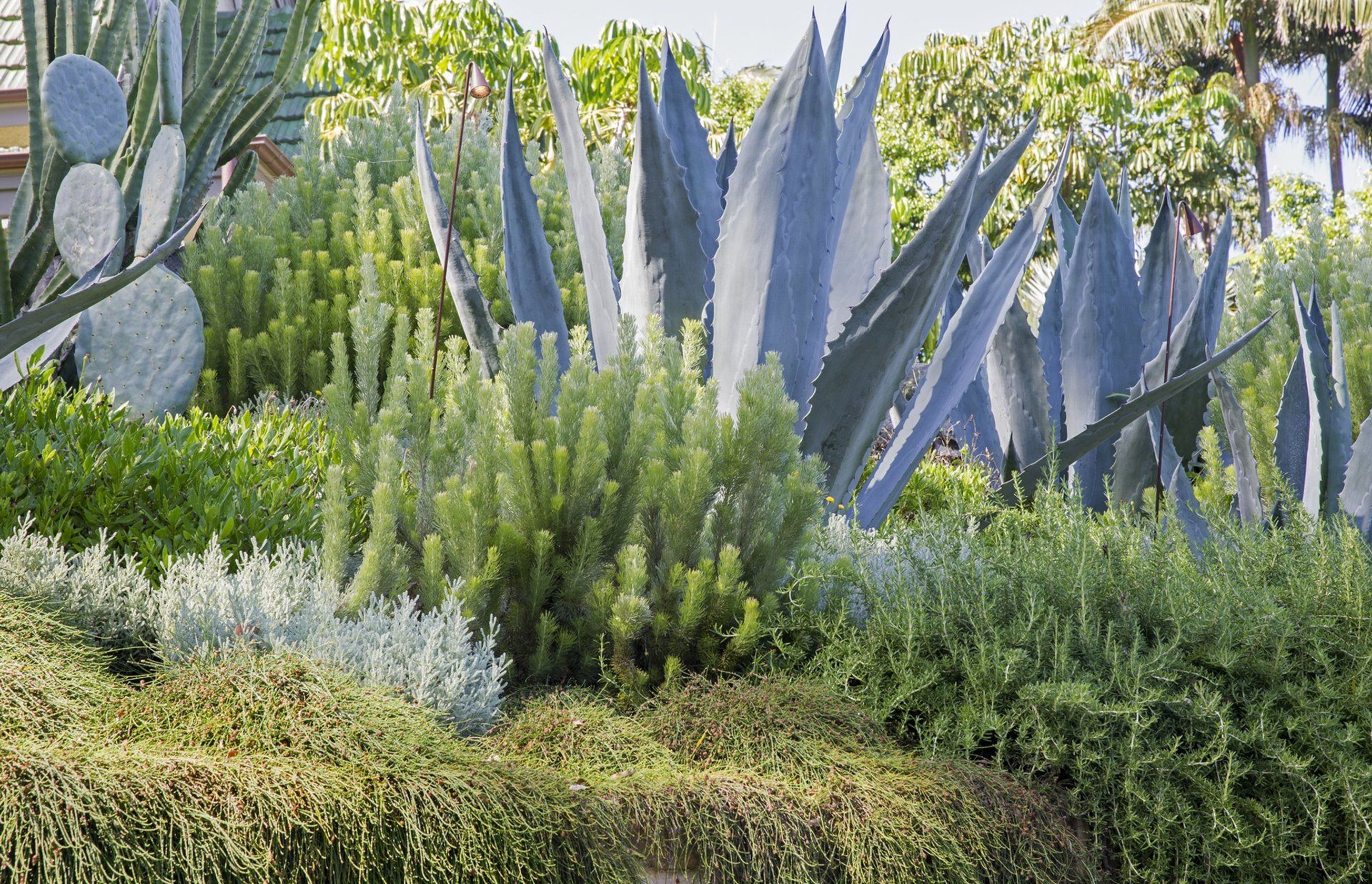 An Entertainer's Garden