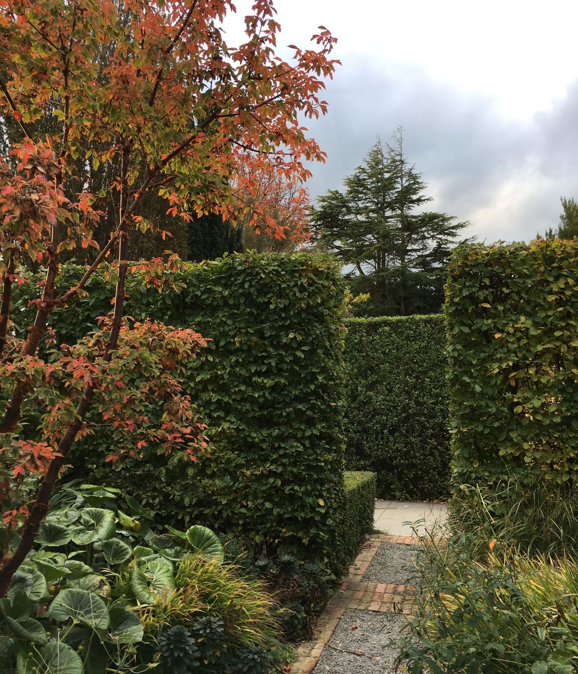 Shirley Garden