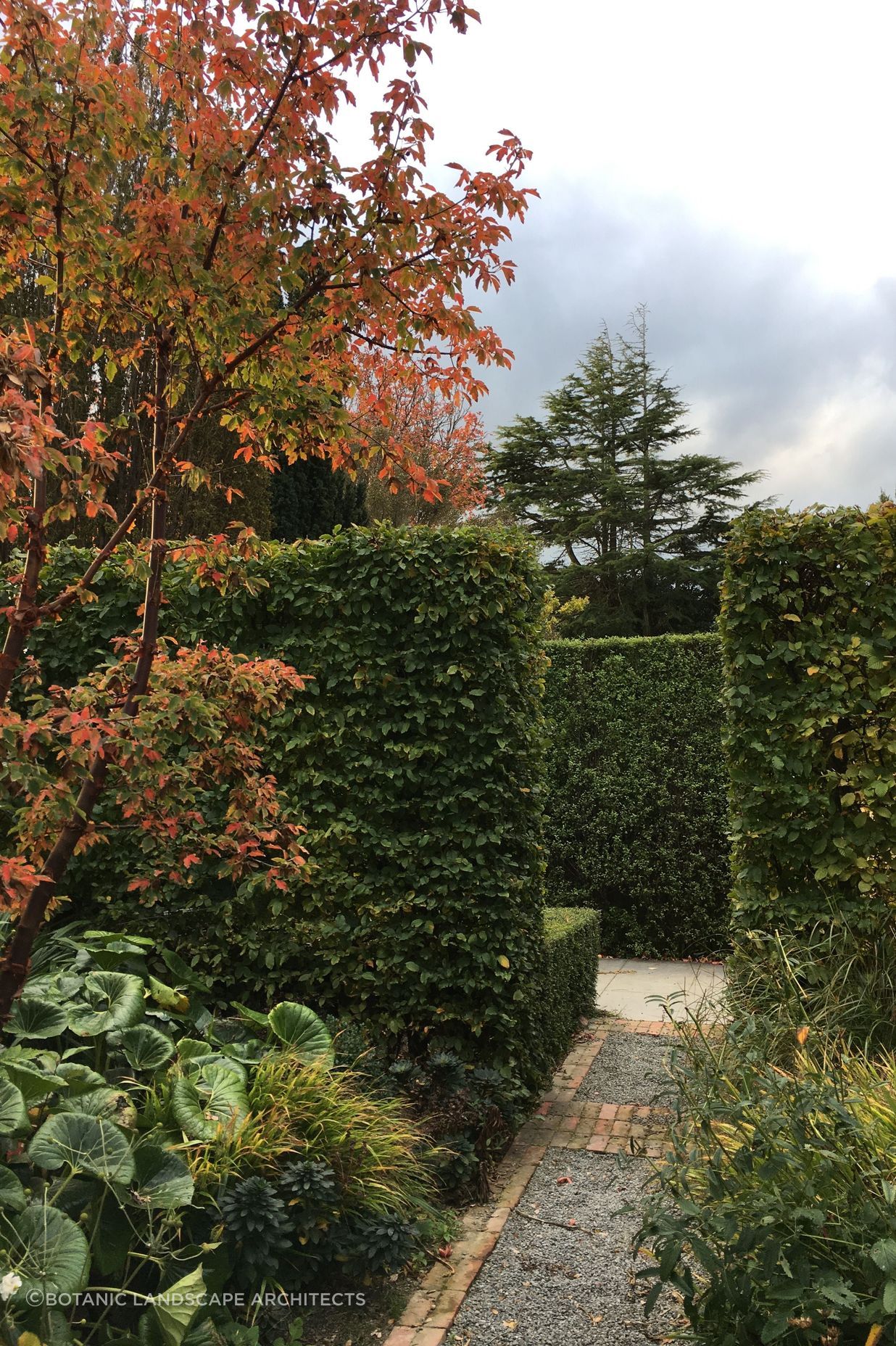 Shirley Garden