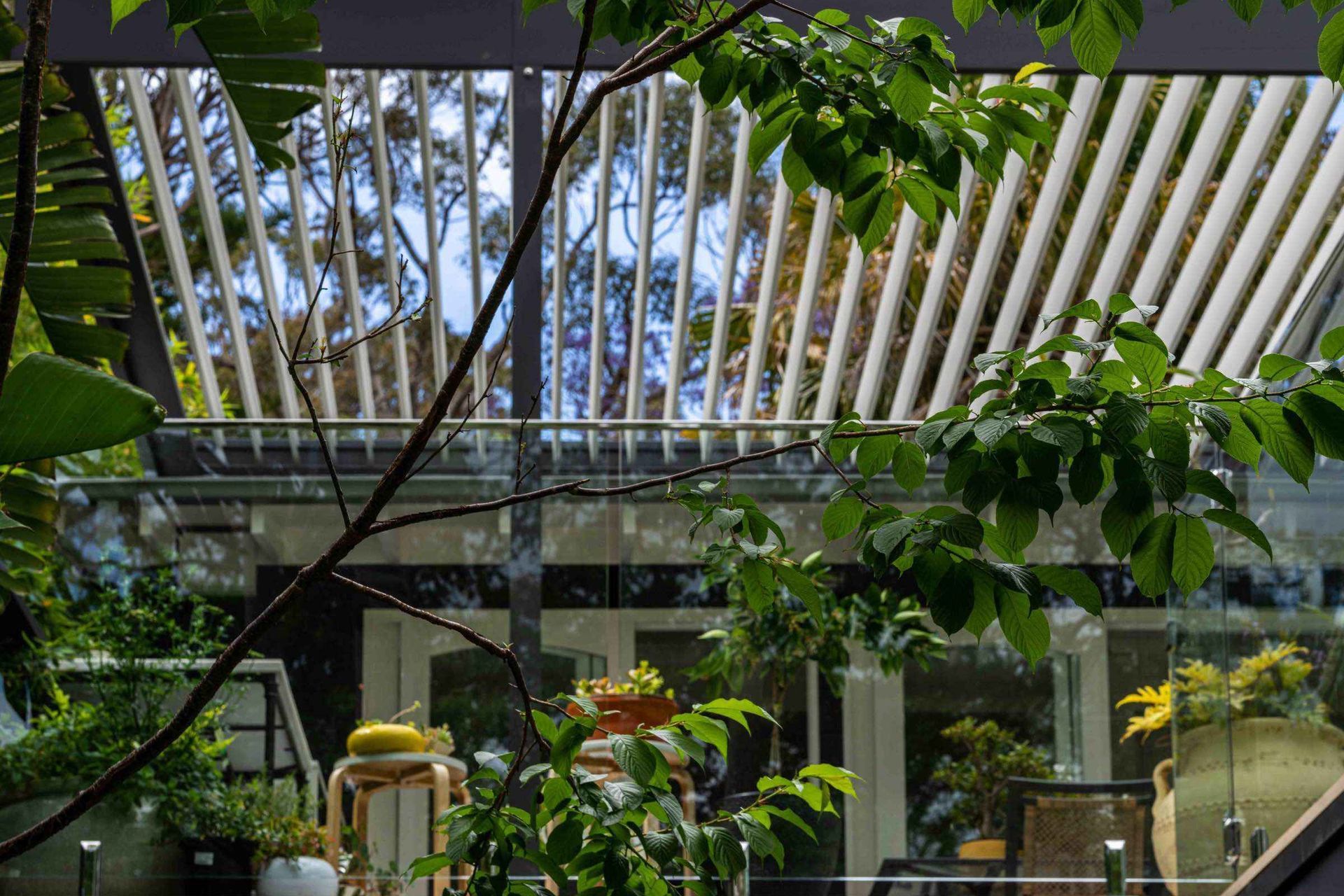 Avalon Palmgrove Residence