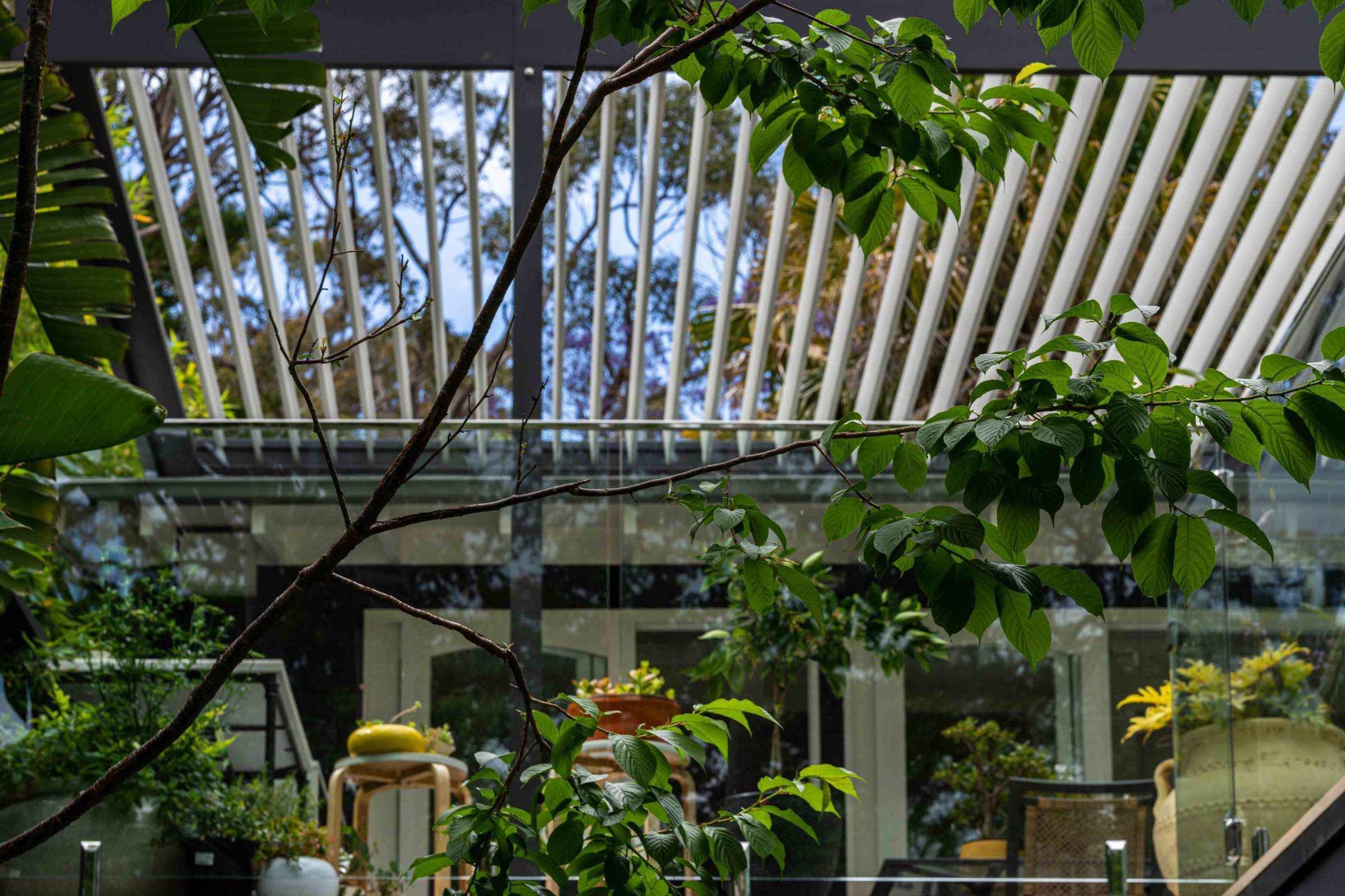Avalon Palmgrove Residence