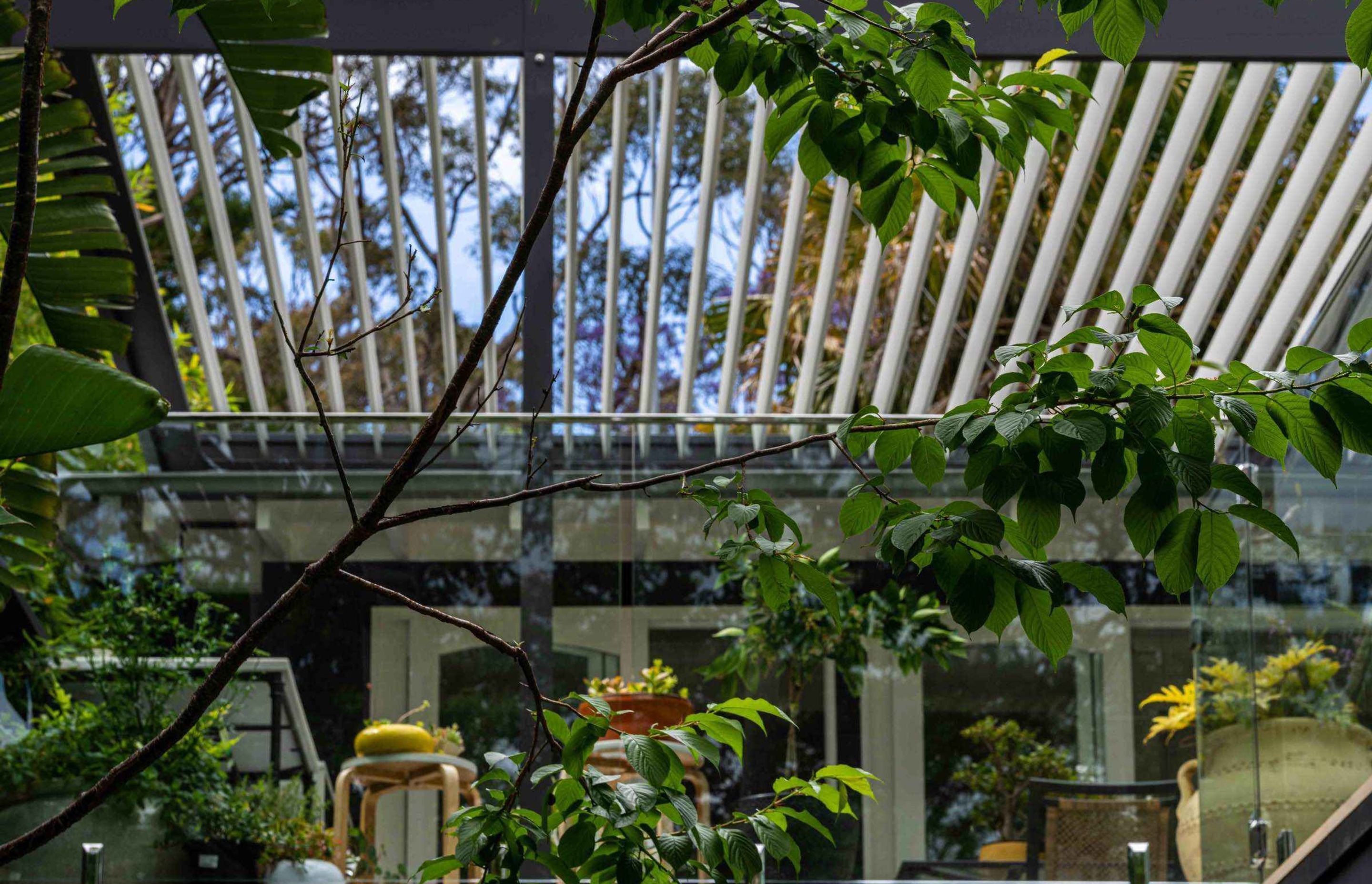 Avalon Palmgrove Residence