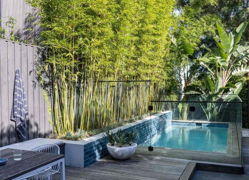 Balmain Garden