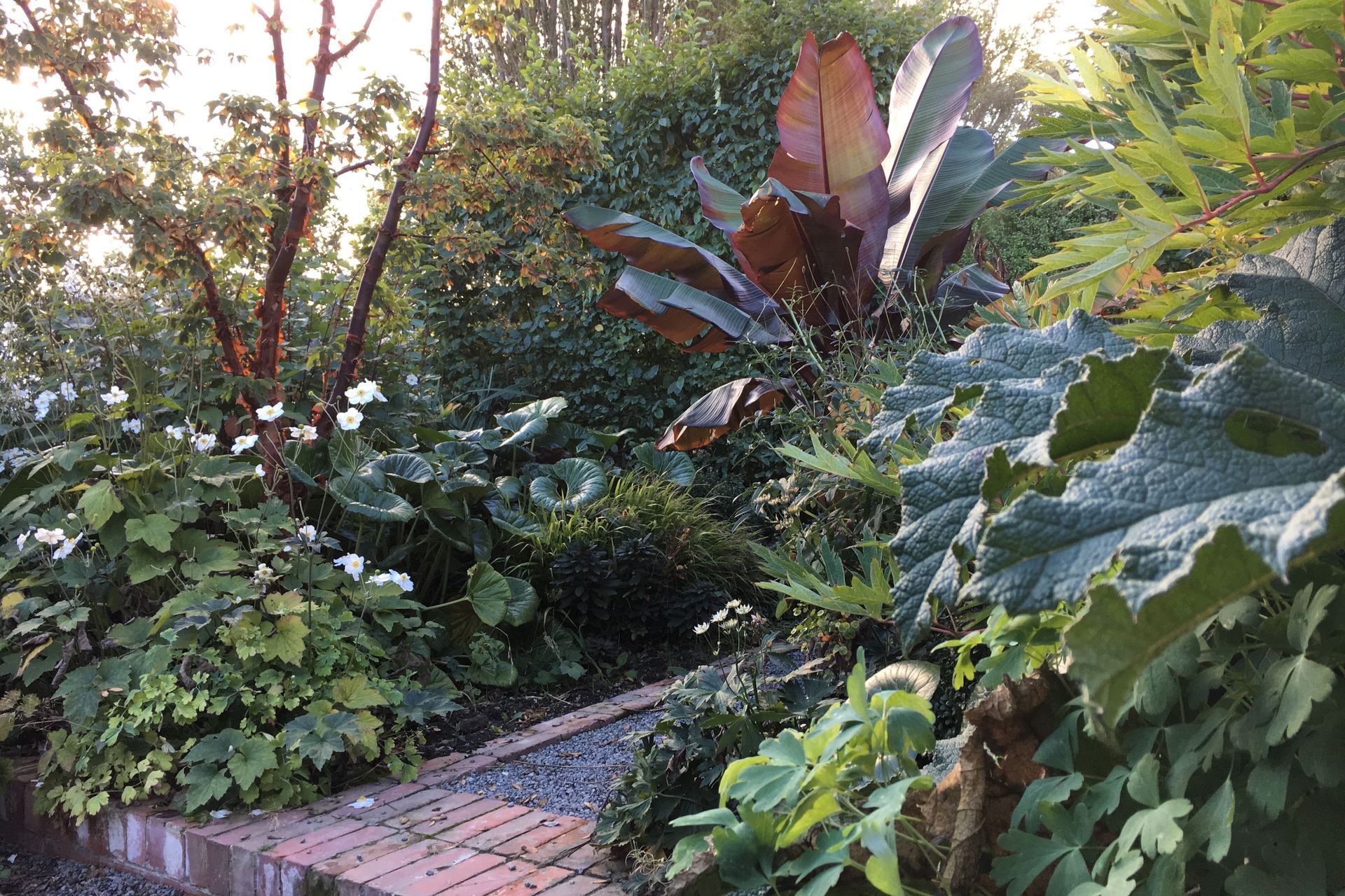 Shirley Garden