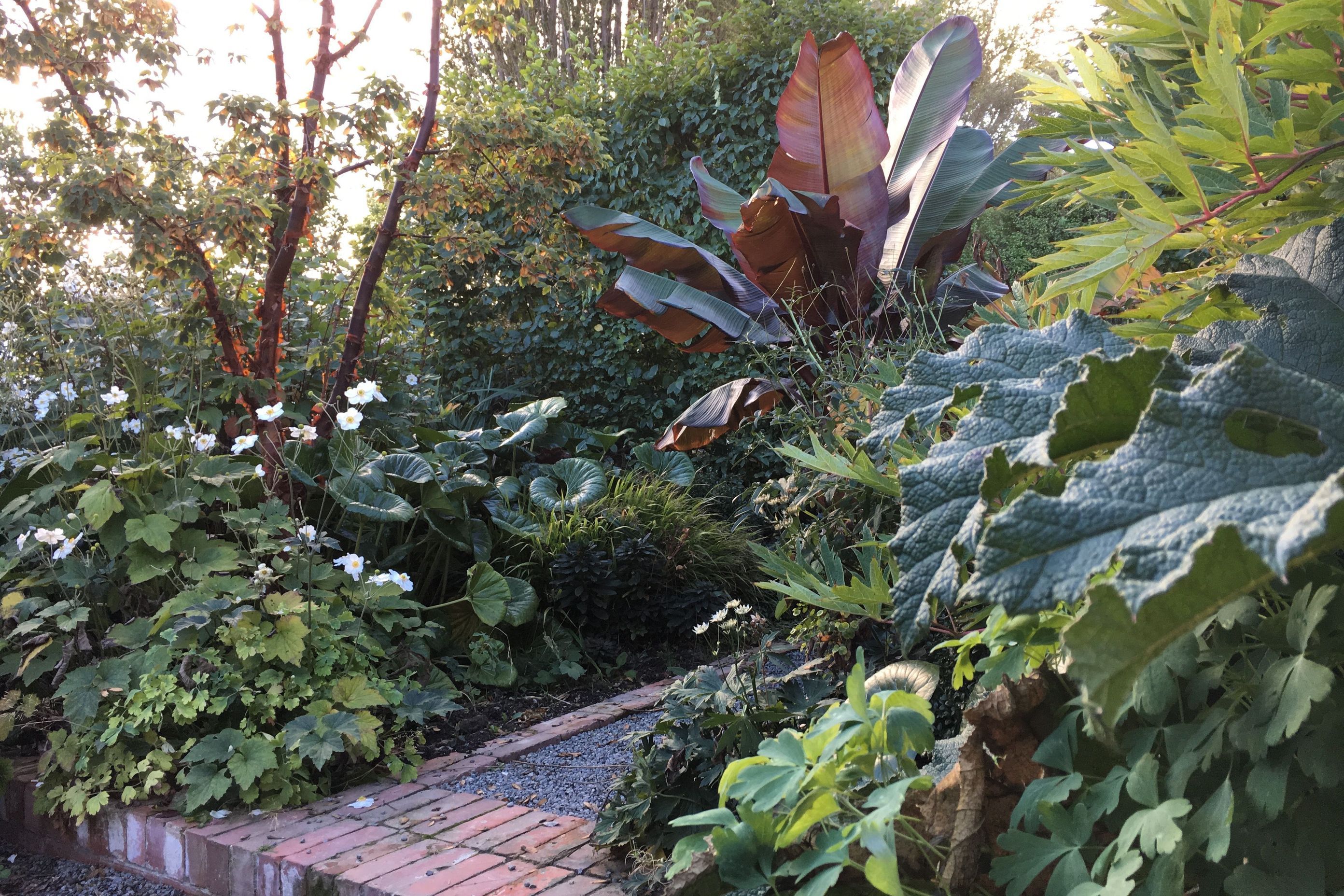 Shirley Garden