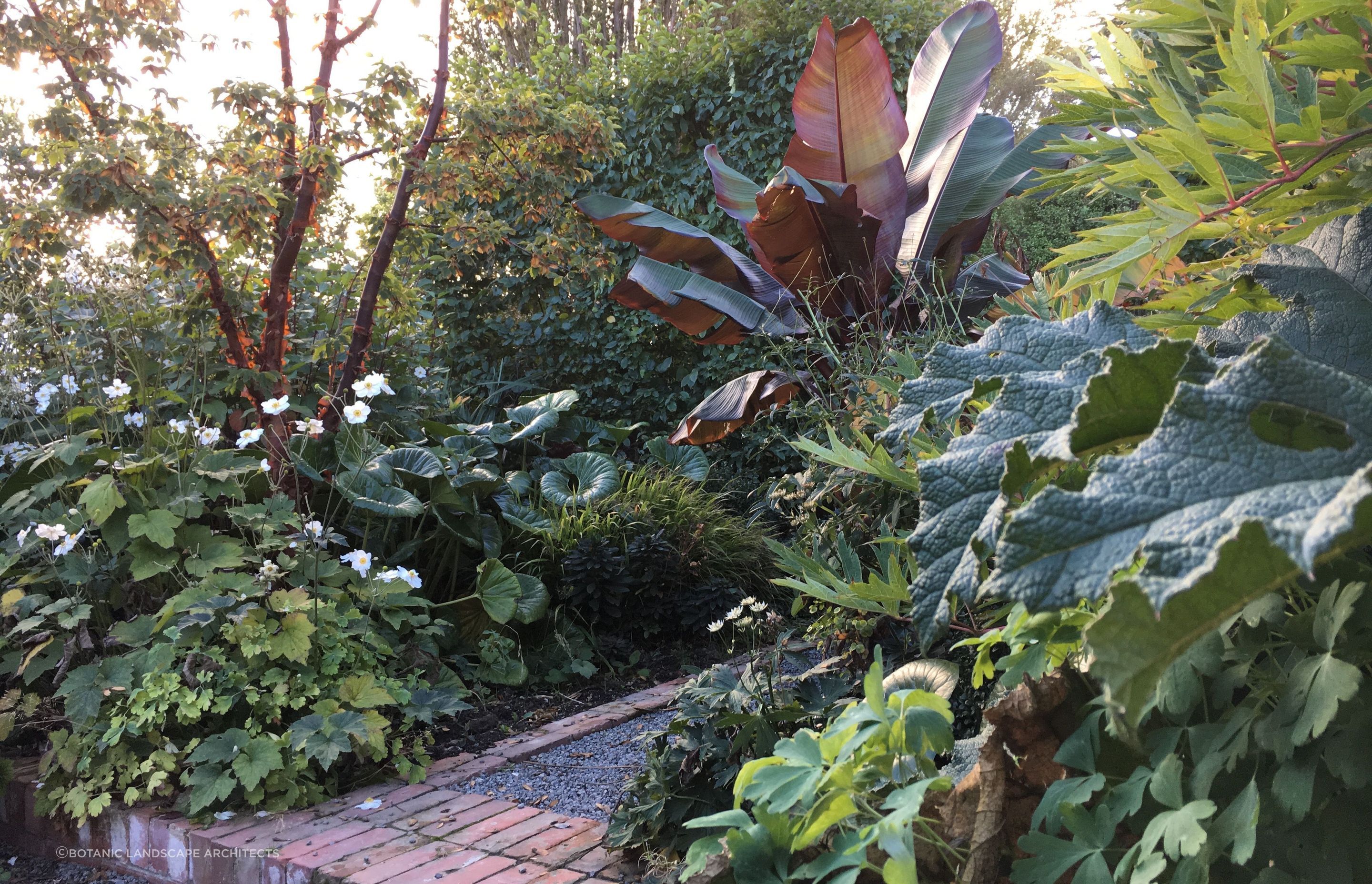 Shirley Garden