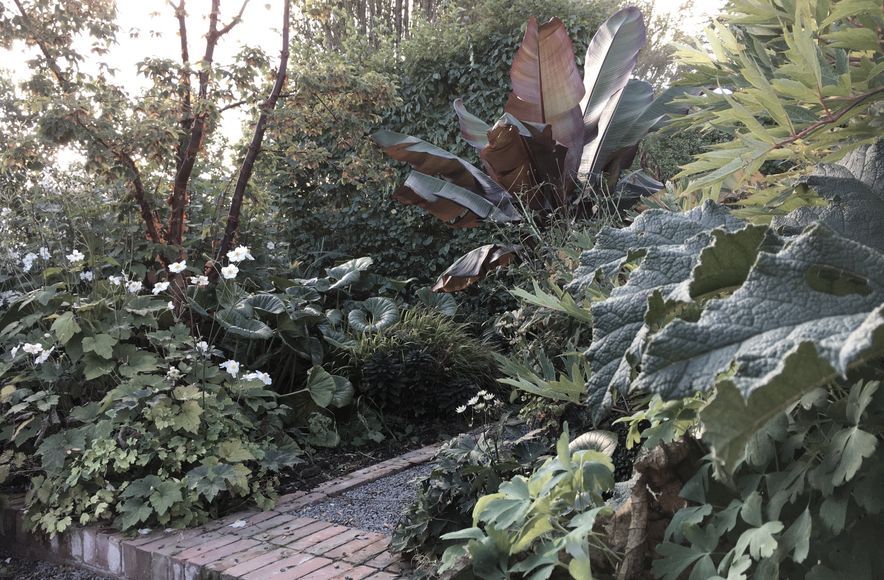 Shirley Garden