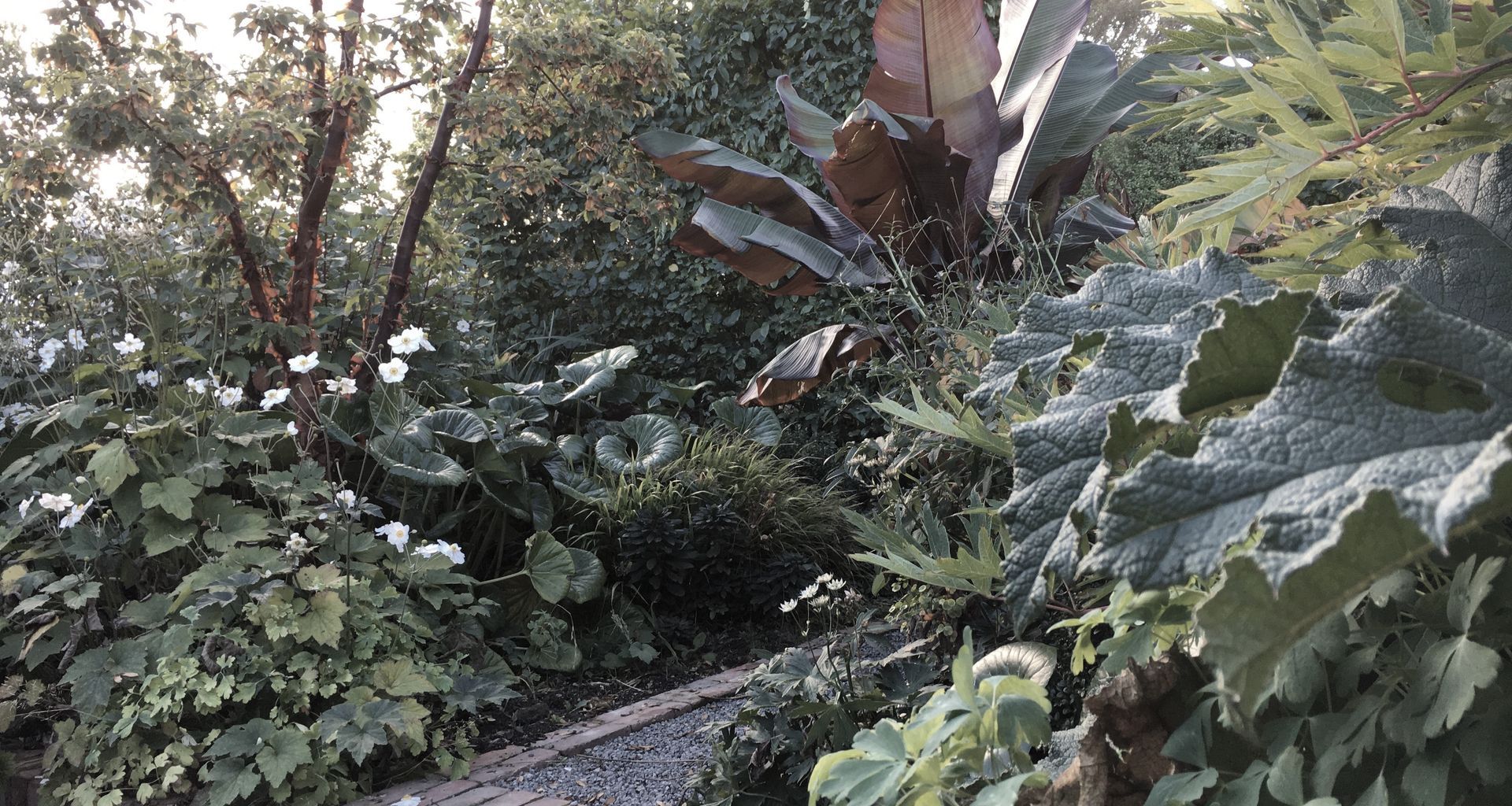 Shirley Garden banner