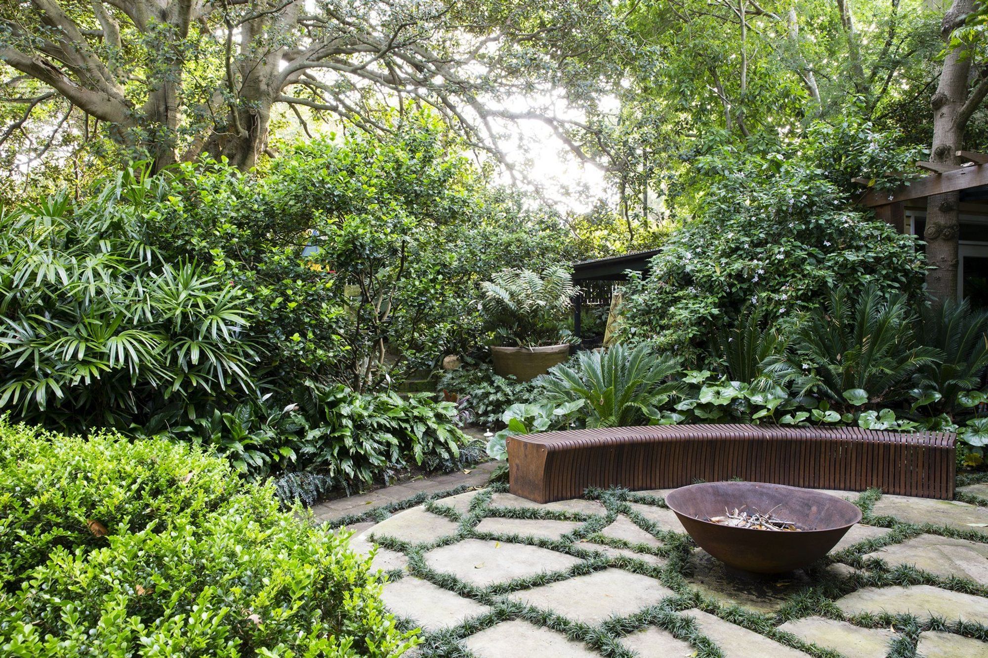 Bower Bird