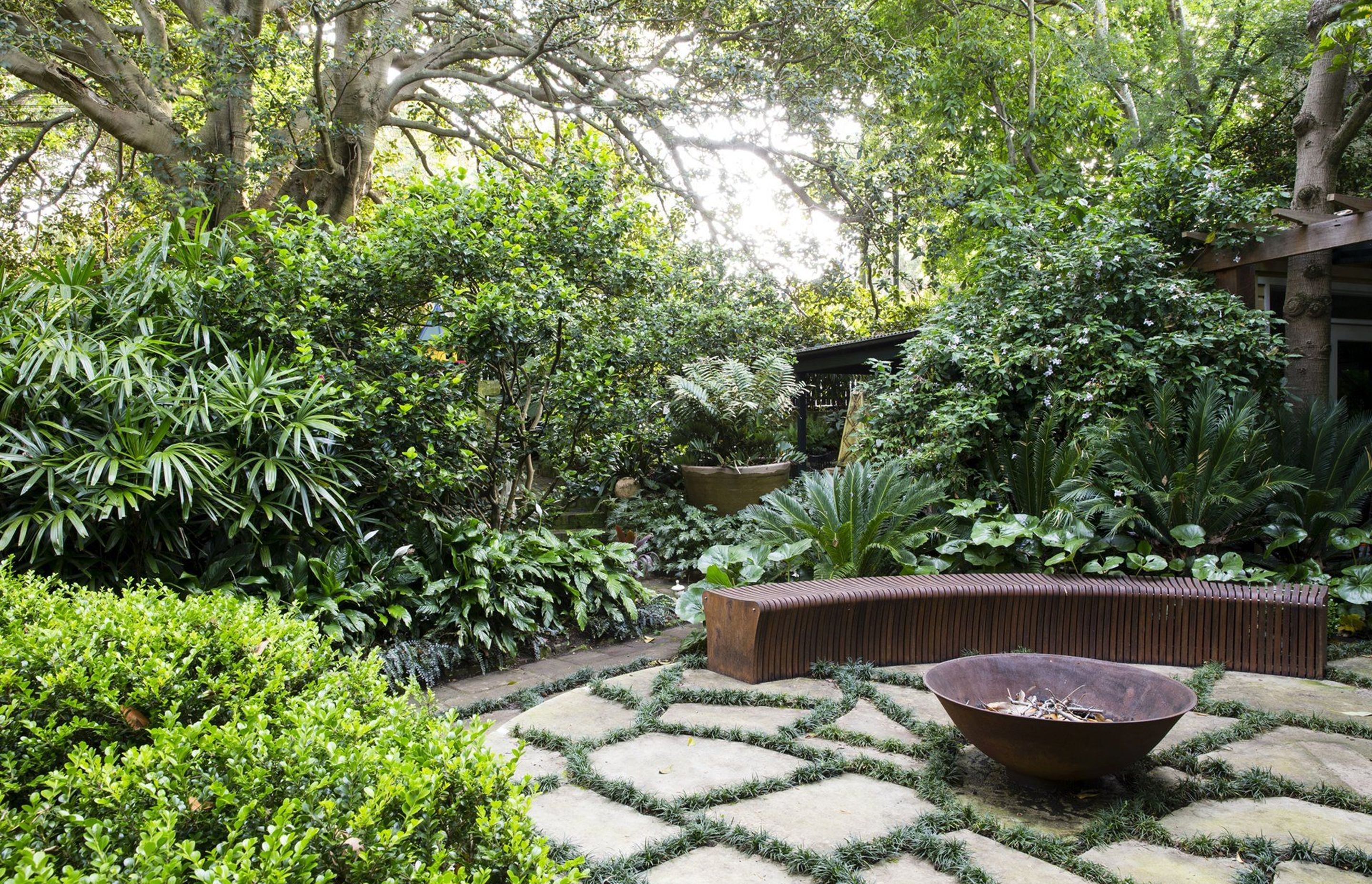 Bower Bird