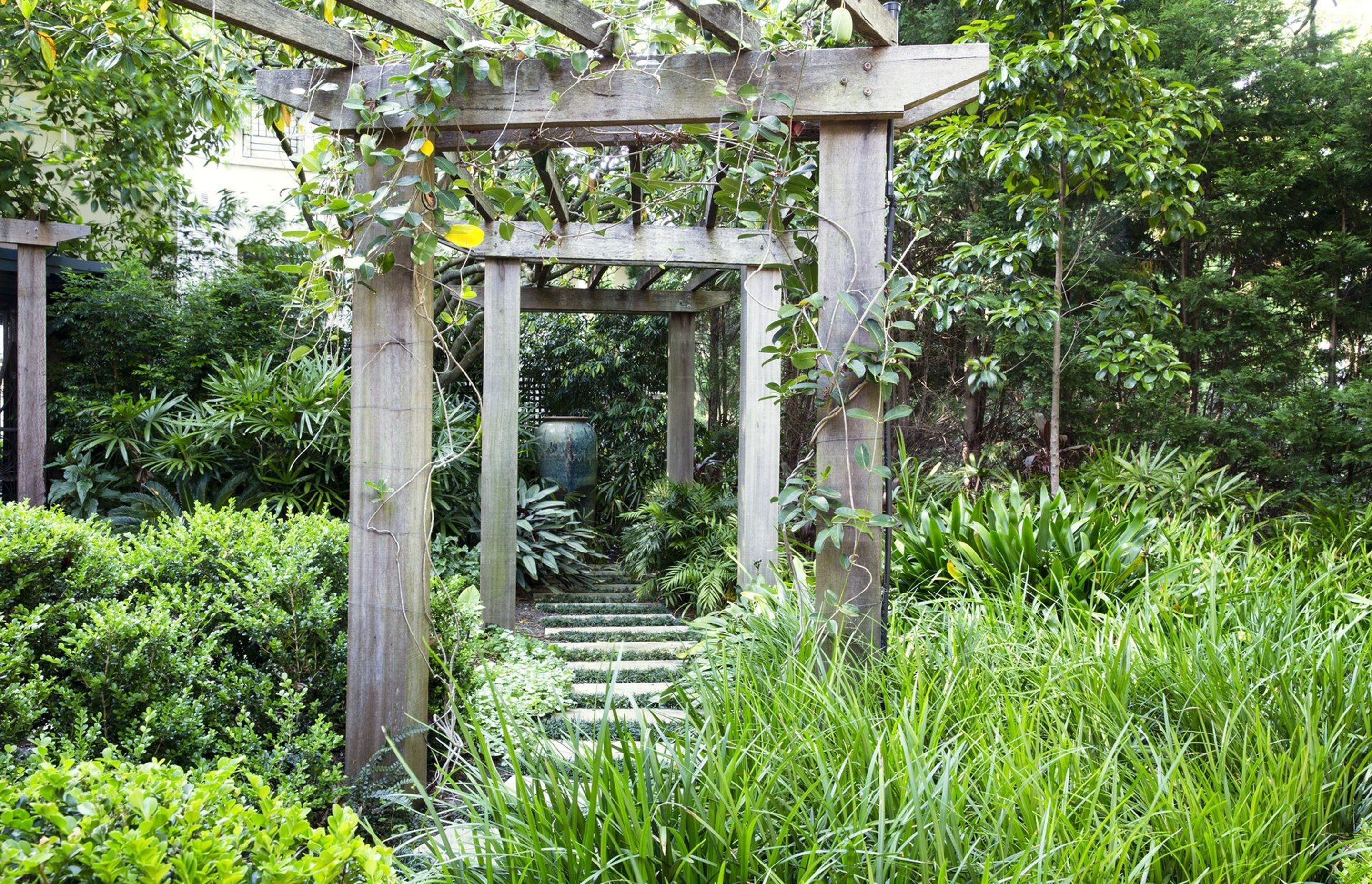 Bower Bird