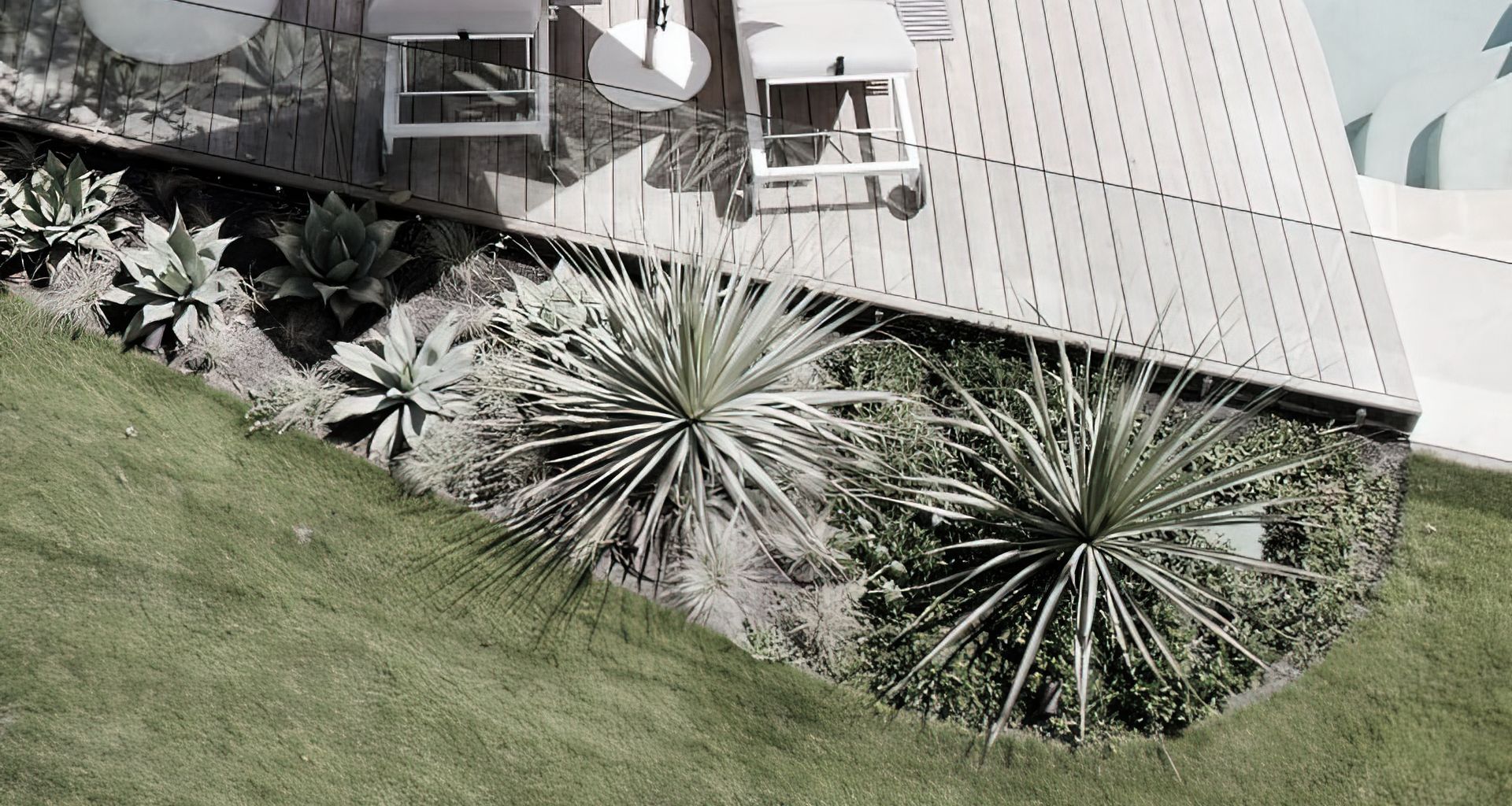 California Dreamin' banner