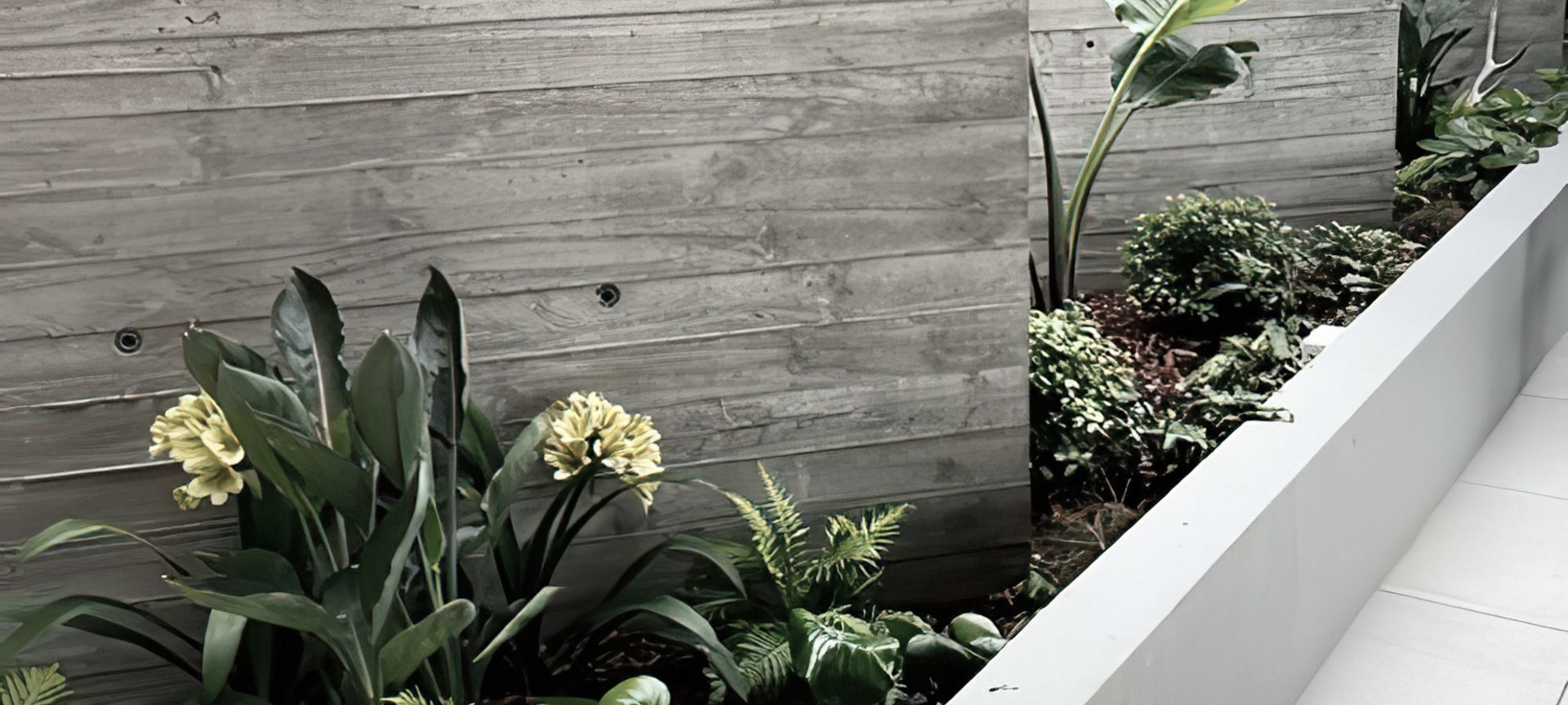 Mid Century Entertainer banner