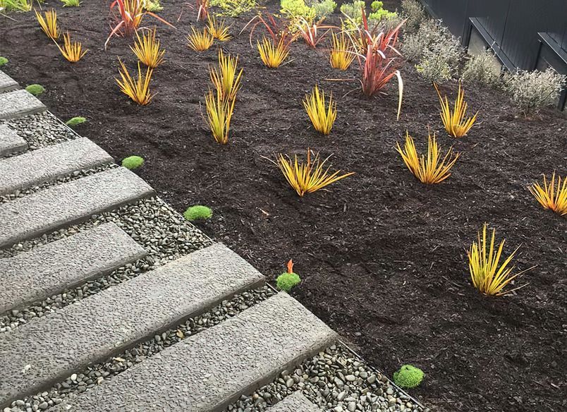 Soft Landscaping Design