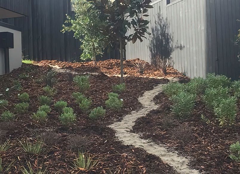 Native Planting Theme