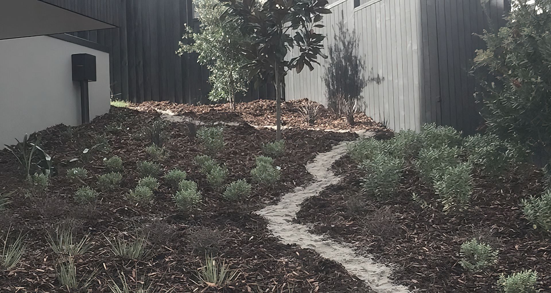 Native Planting Theme banner