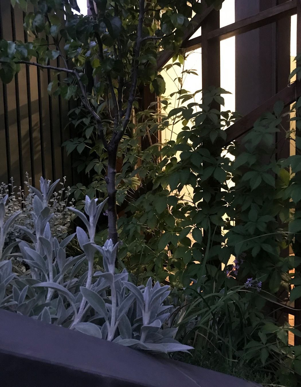 ##^^**&&'Welkin', Colourful Rooftop Terrace & 'Scarborough' Garden In Clifton Hill