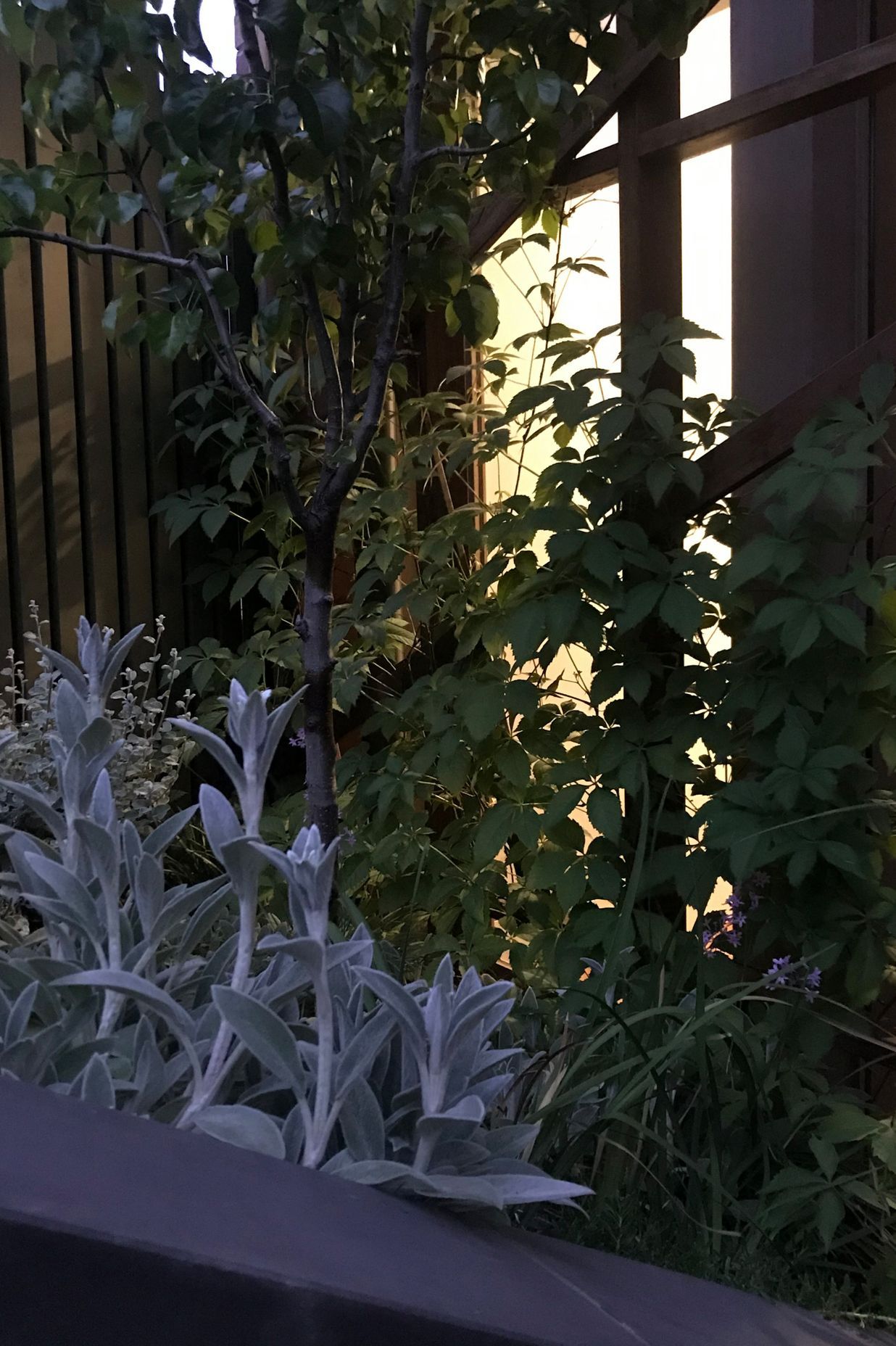 ##^^**&&'Welkin', Colourful Rooftop Terrace & 'Scarborough' Garden In Clifton Hill