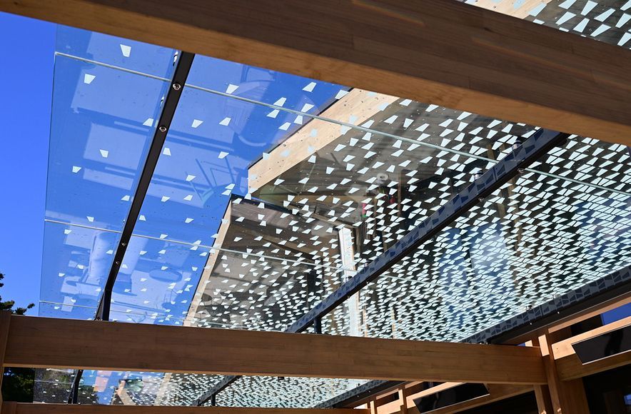 Botanic Clubhouse Canopy