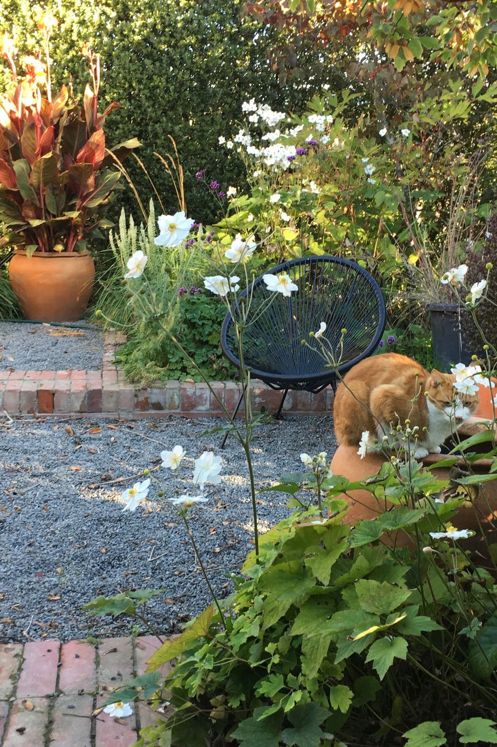 Shirley Garden