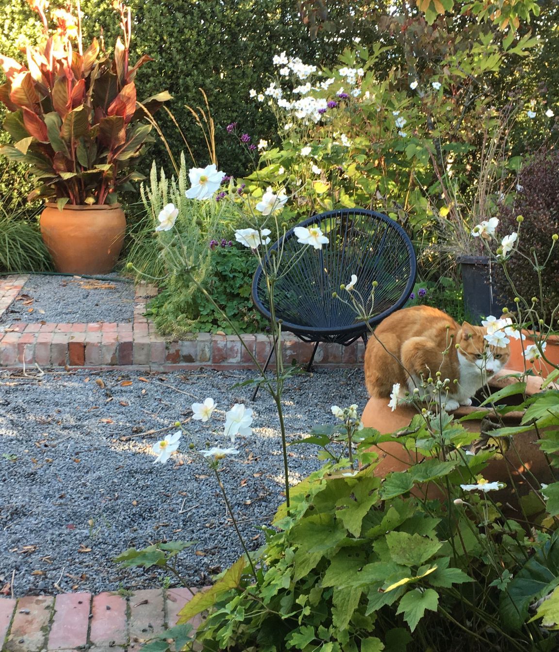 Shirley Garden