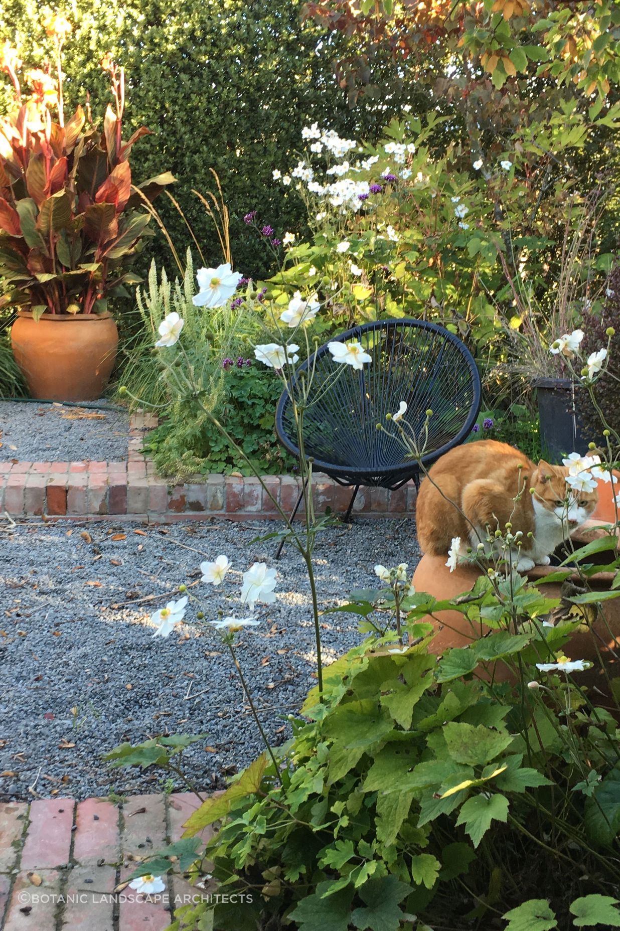 Shirley Garden