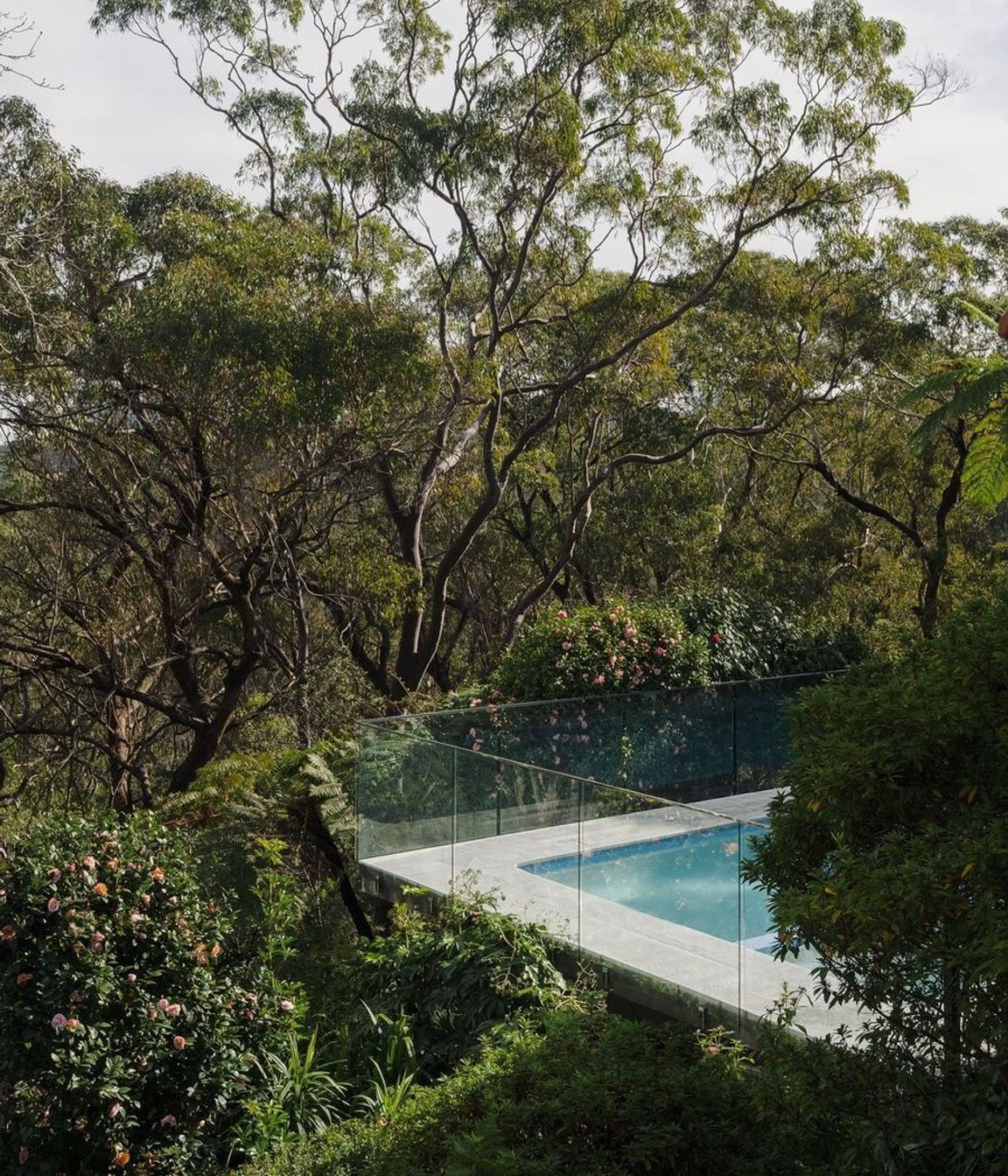 Chatswood Residence