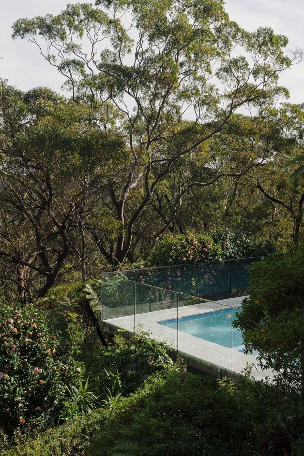 Chatswood Residence