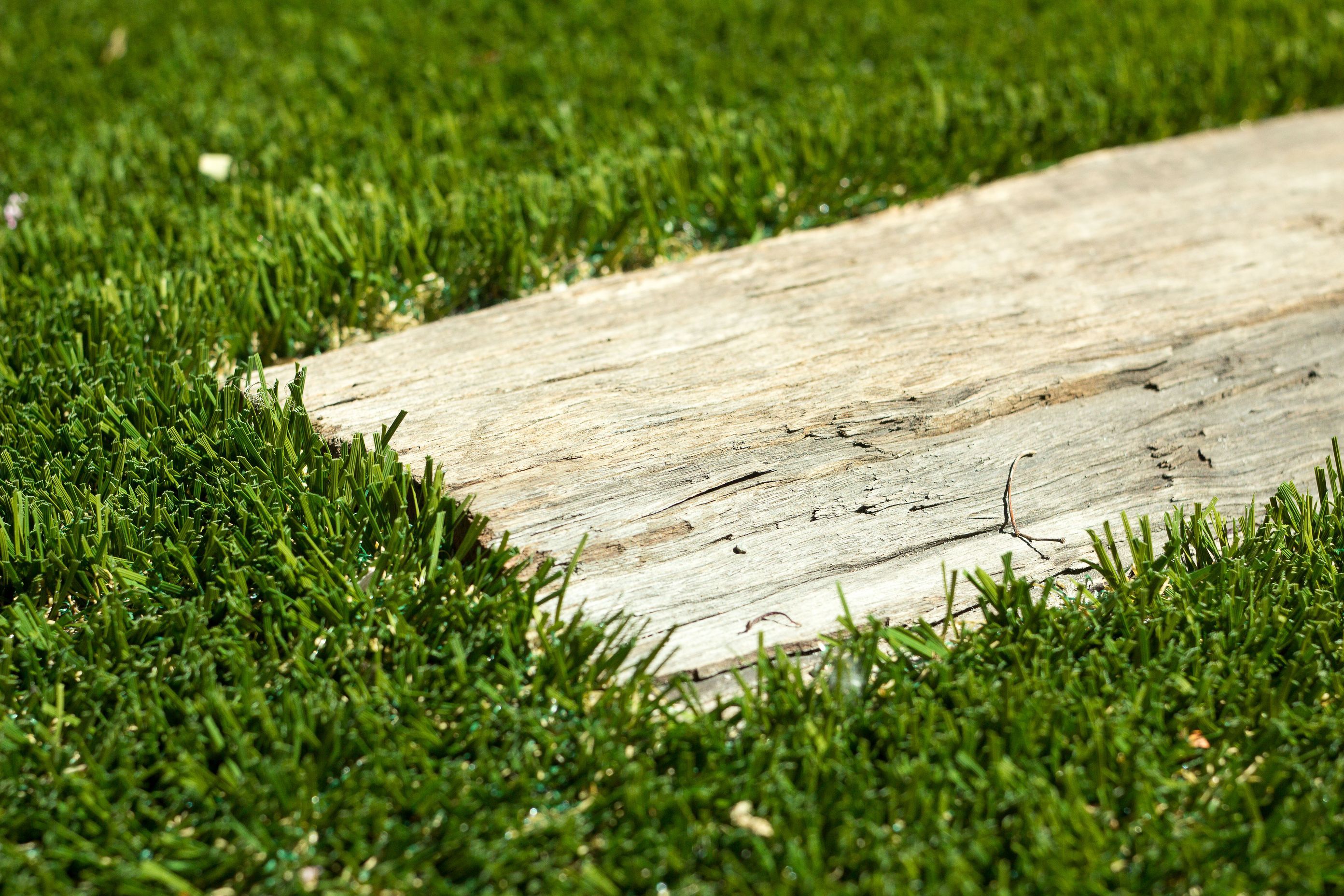 chuckycreativeSMARTGRASS-CINDY-13-v3.jpg