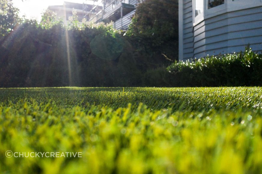 chuckycreativeSmartGrassWLGCharlotteWEB-0145.jpg