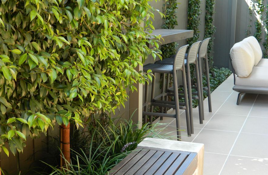 Pascoe Vale