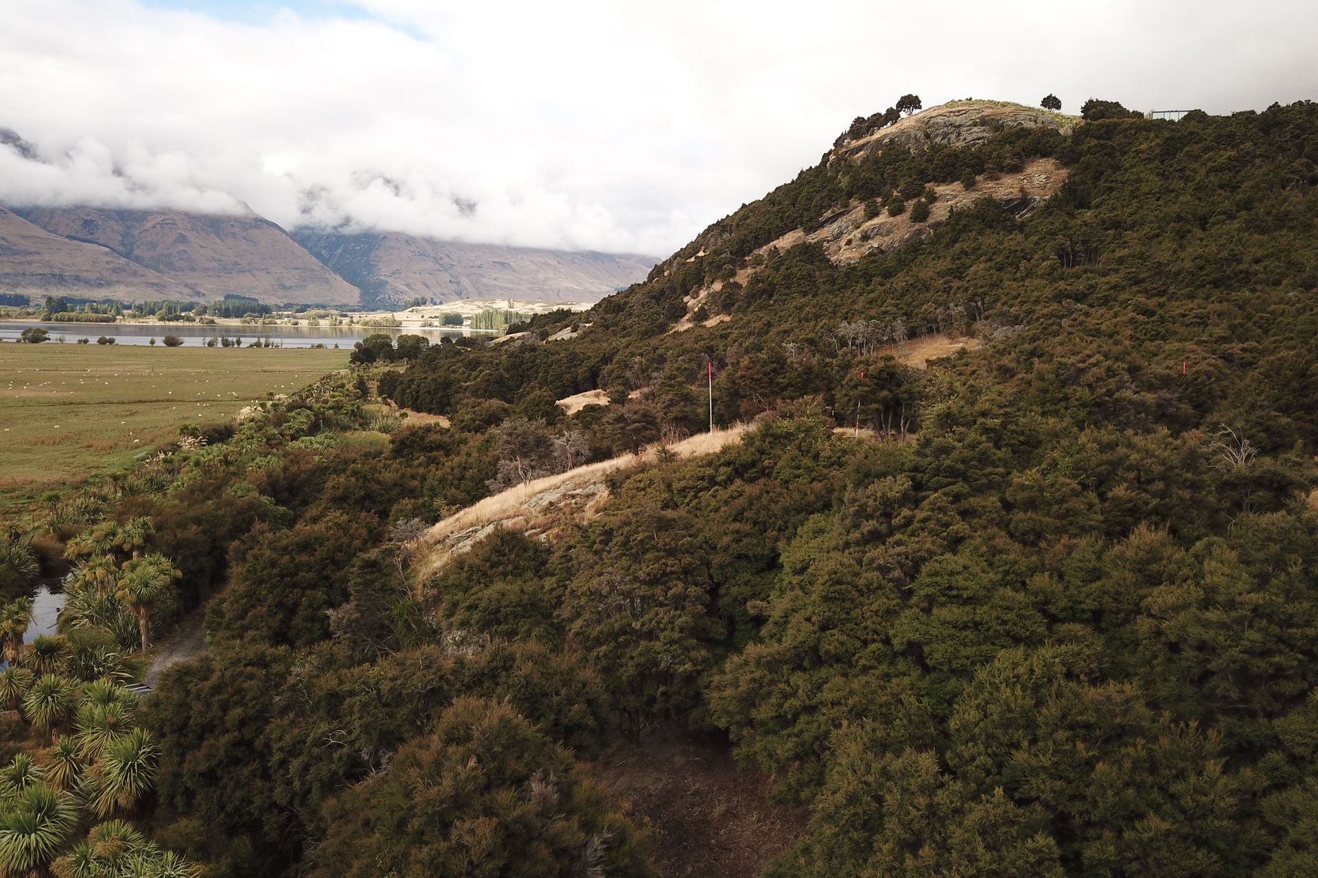 drone-3.JPG