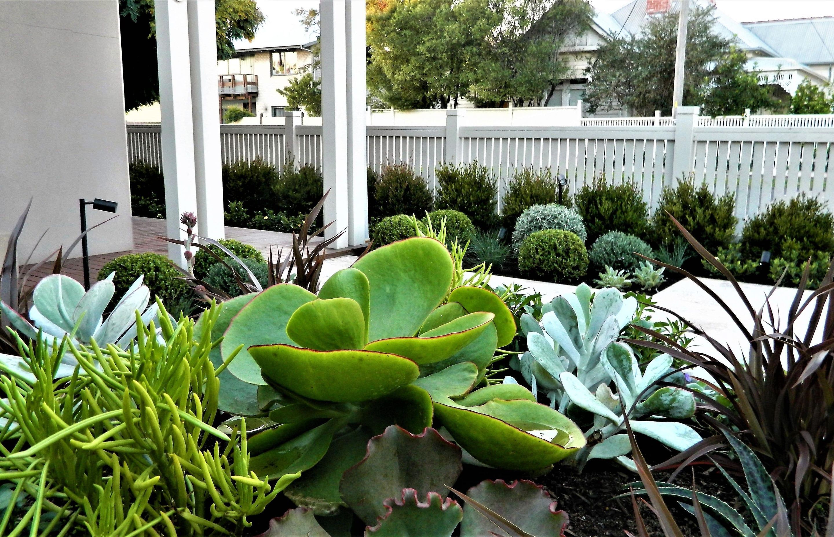 Photography: Christine Griffiths | Landscape design