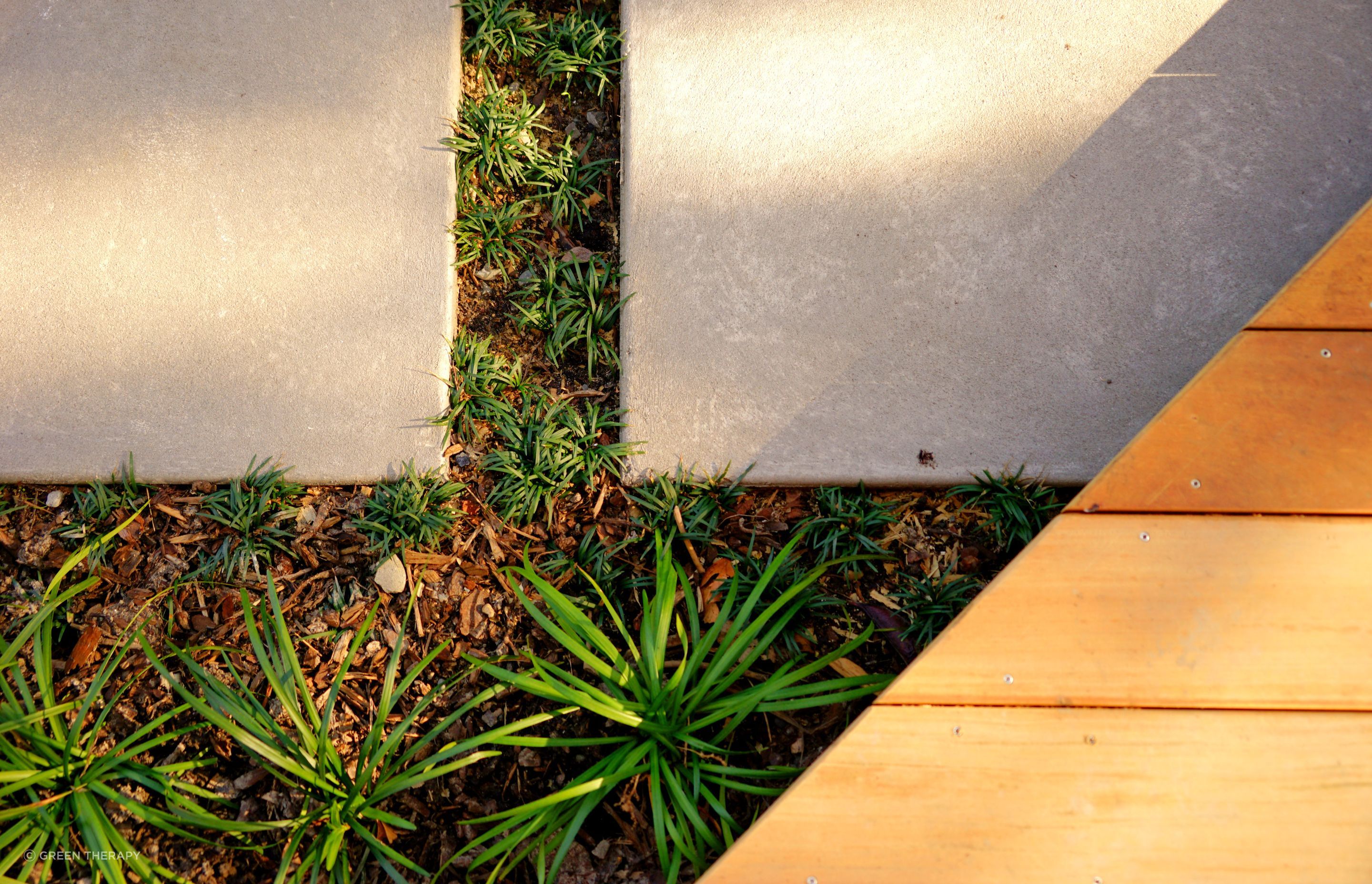 Garden Projects