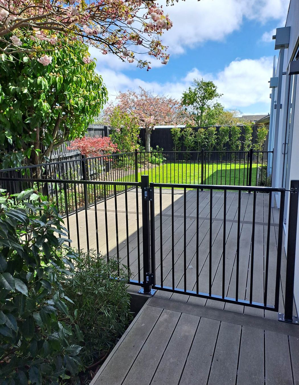 fence.jpg