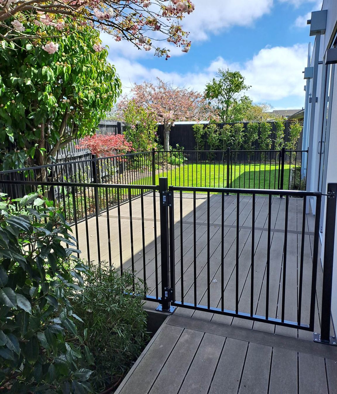 fence.jpg