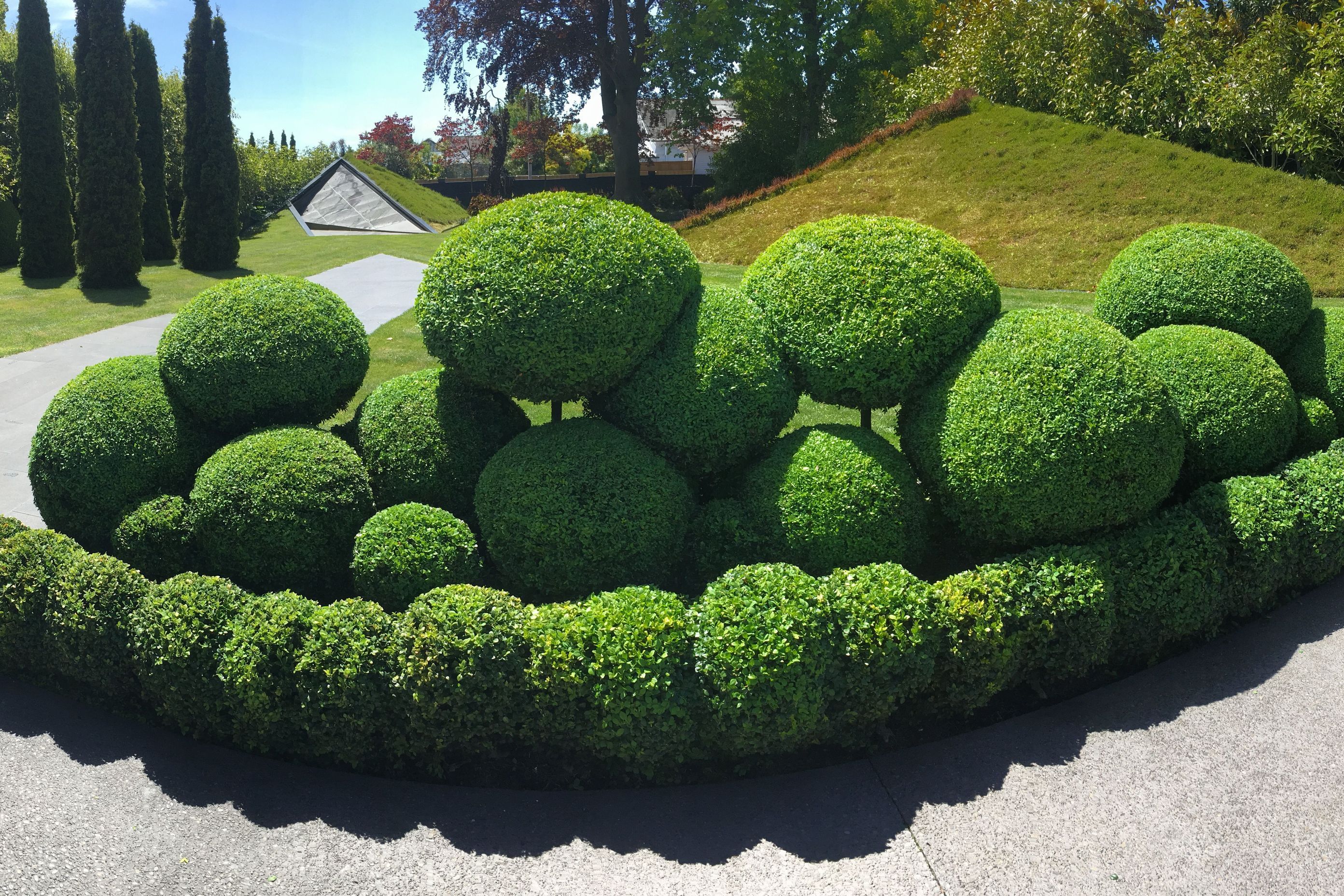 Grumpy's Garden