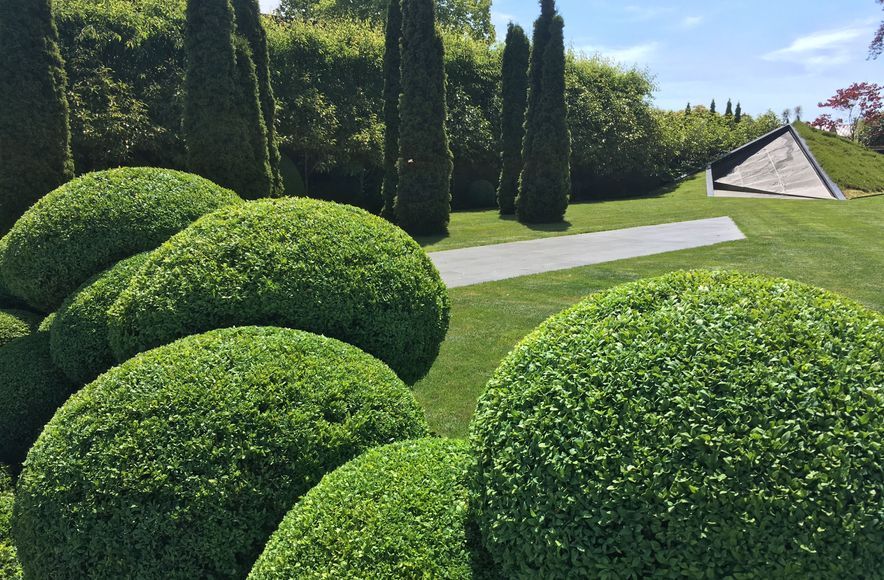 Grumpy's Garden