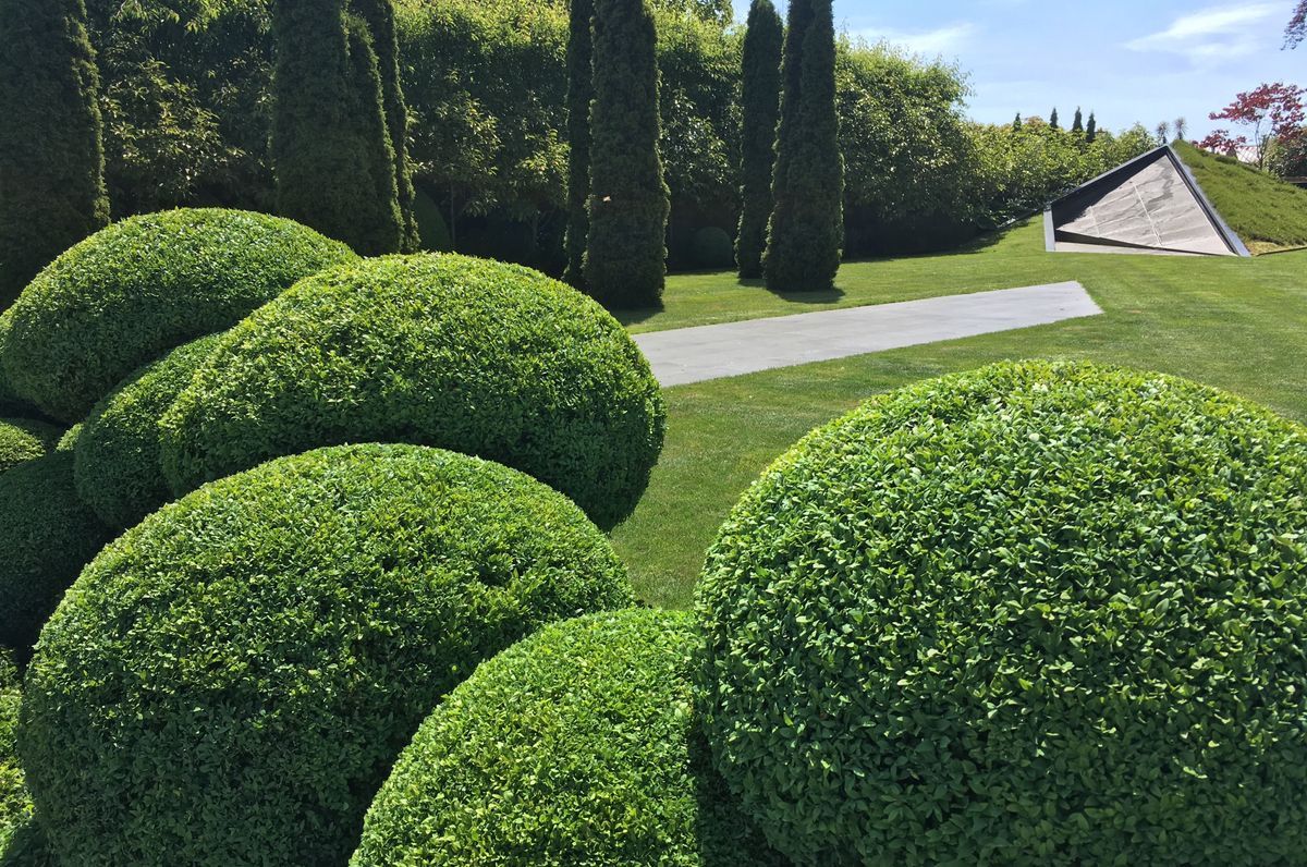 Grumpy's Garden