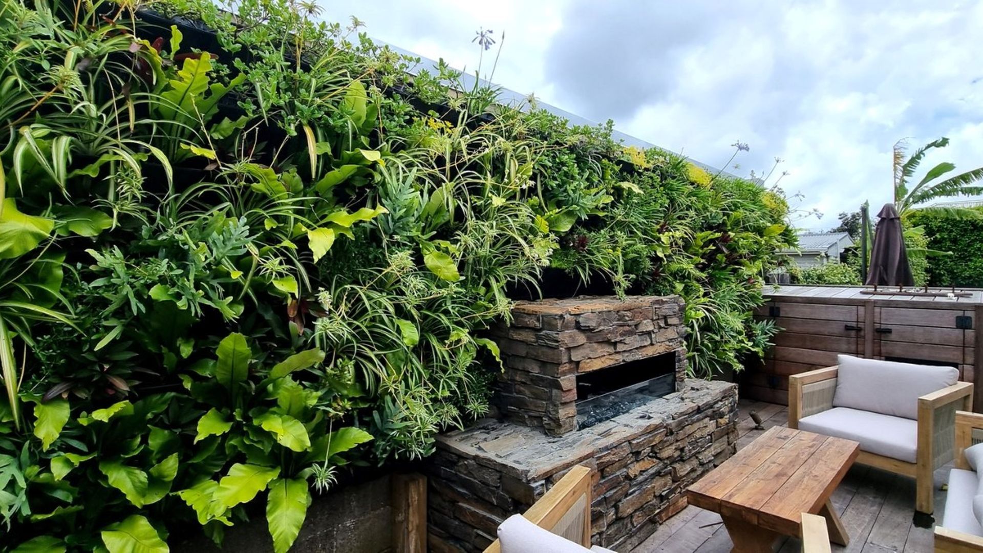 Living Walls banner