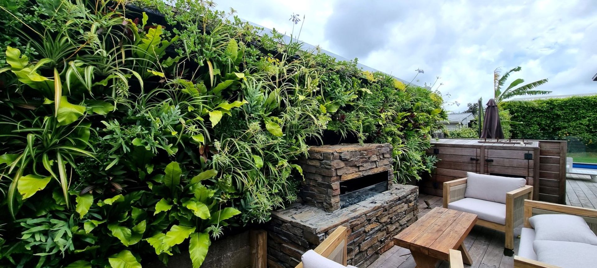 Living Walls banner