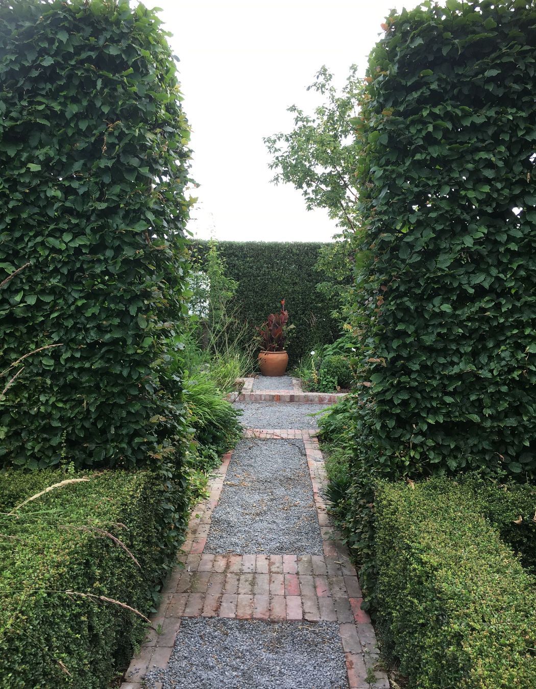 Shirley Garden