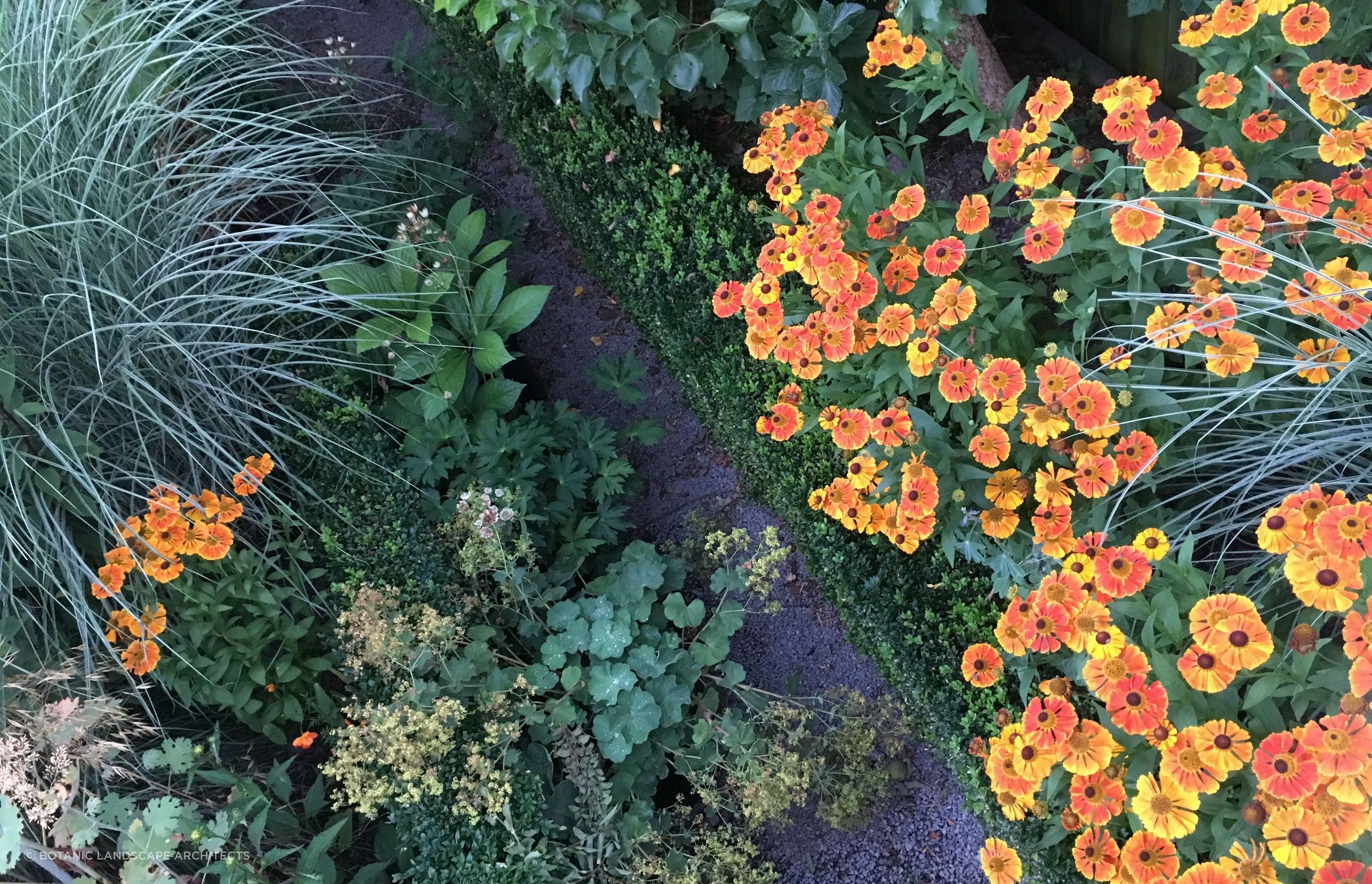 Shirley Garden