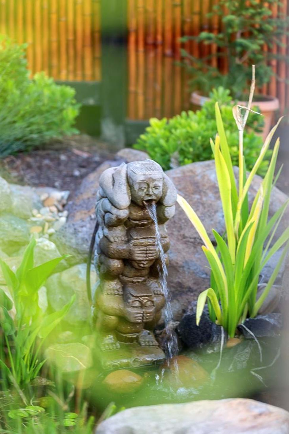 Japanese Gardens