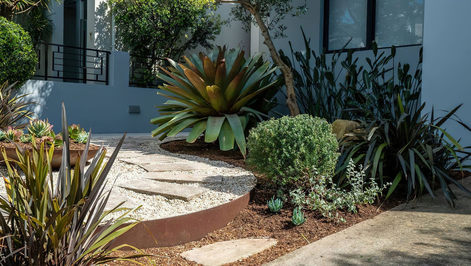 Coastal Garden Design Sydney banner