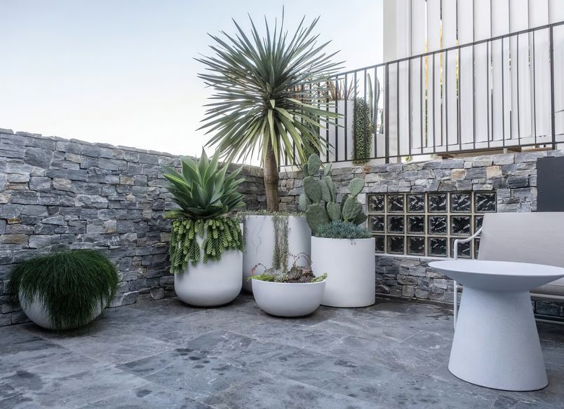 Landscape Design Bellevue Hill